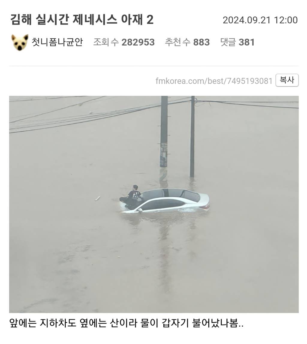 실시간 김해 제네시스 차주 | 인스티즈