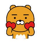 주현영 유기묘 성묘(길고양이) 입양 | 인스티즈