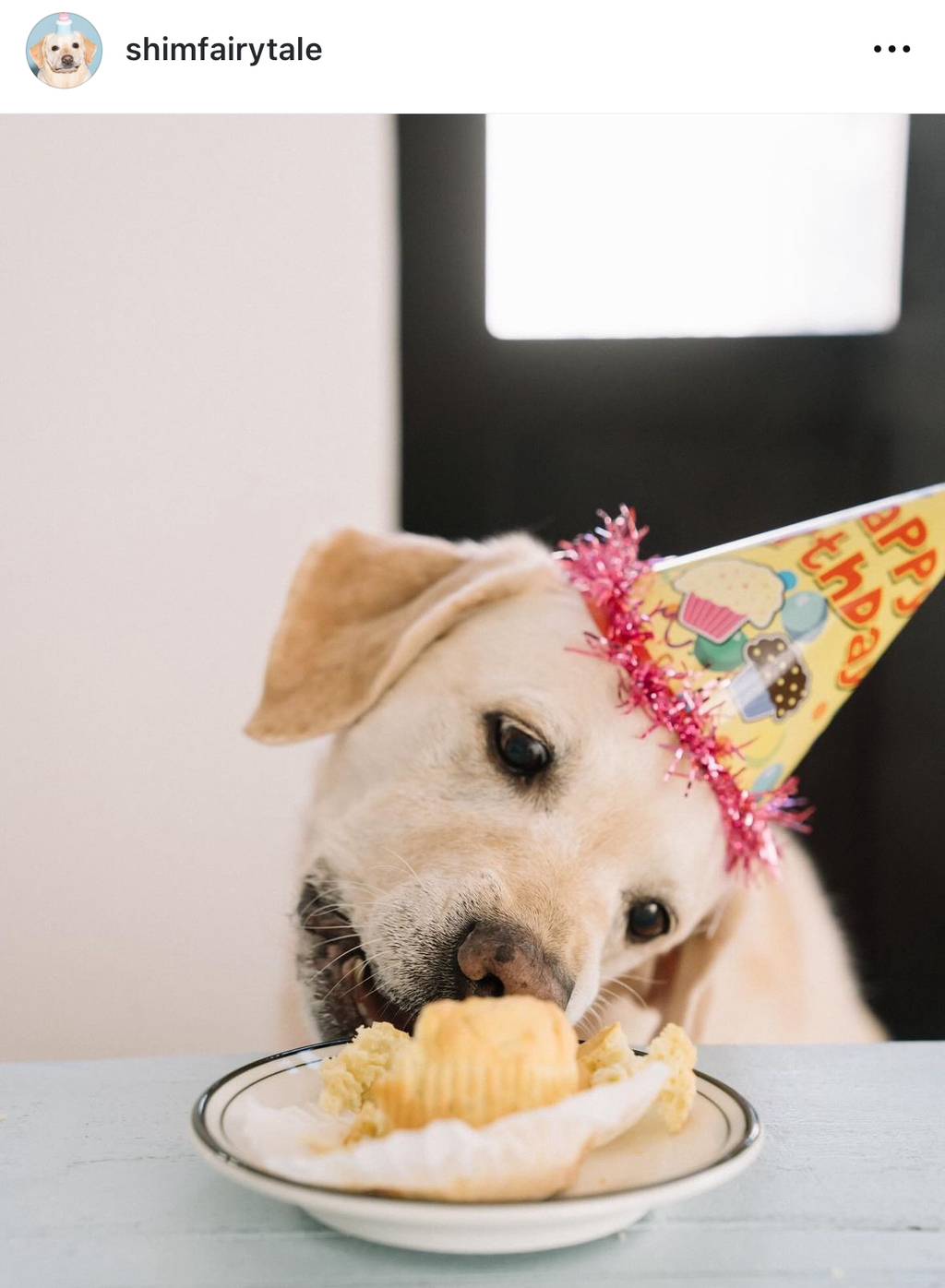 자연분만으로 태어나 삶에 대한 의지가 강한 오늘 생일 심동화 | 인스티즈