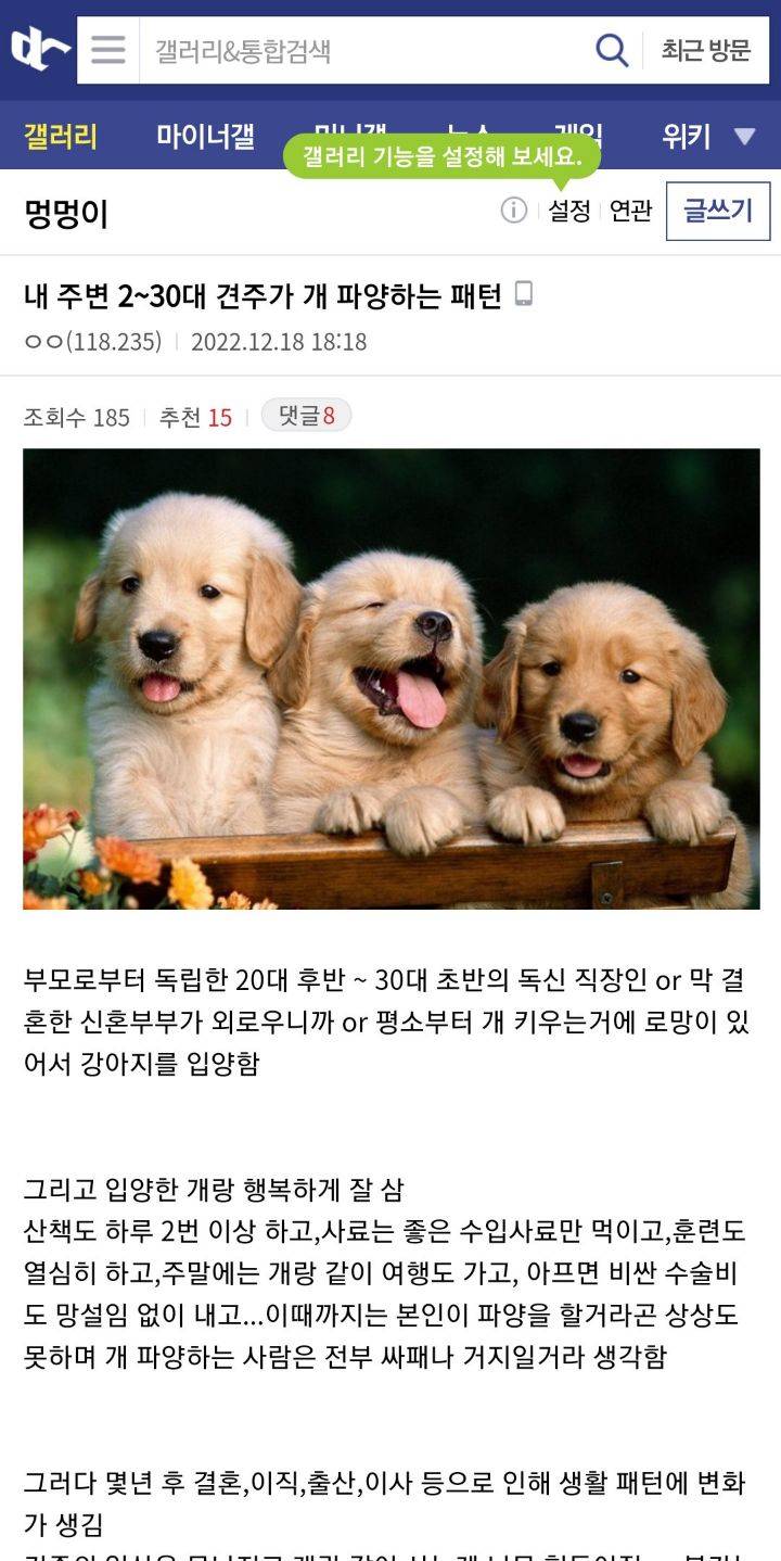 2030 견주가 개 파양하는 패턴 | 인스티즈