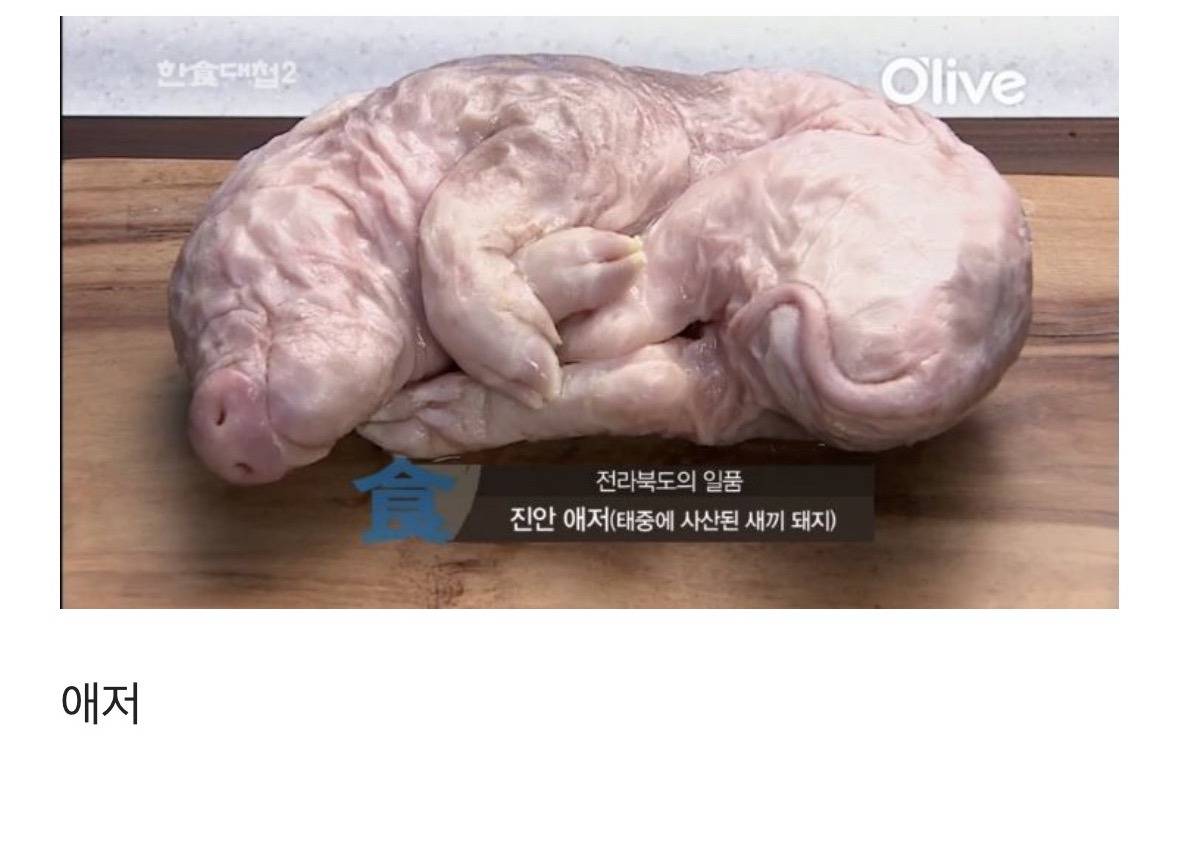 초고수들이 이 악물고 도전해서 보는 재미가 기가 막혔던 방송 | 인스티즈