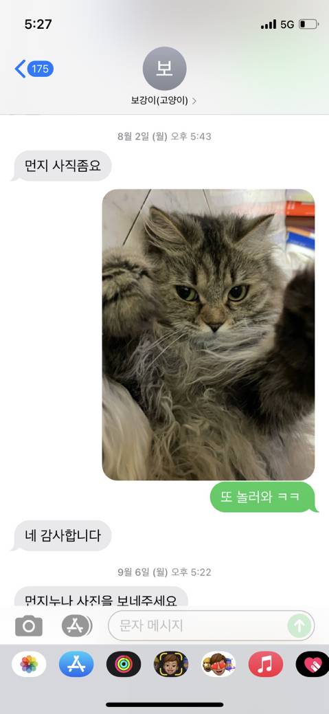 우리 집 고양이 보러 오는 동네 초딩 있거든 | 인스티즈