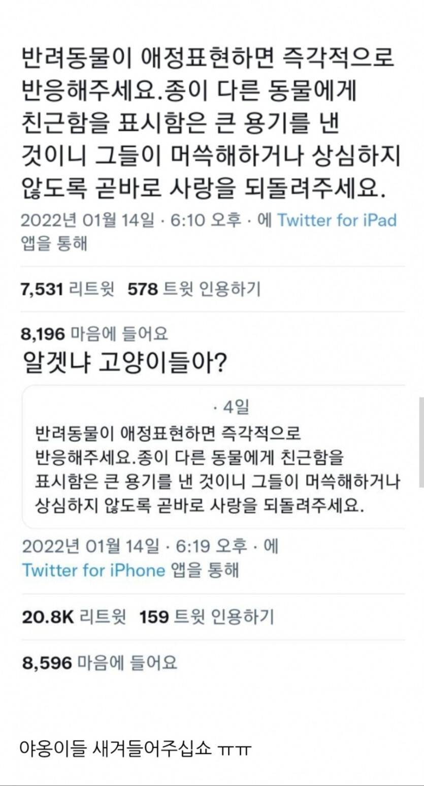 반려동물이 애정표현하면.. | 인스티즈