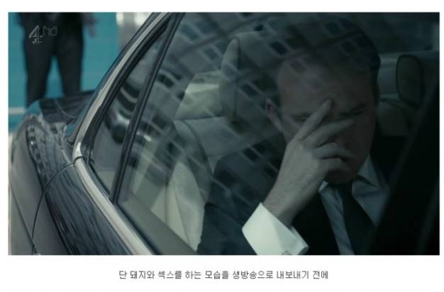 당신이라면 돼지와 섹스를 하시겠습니까 | 인스티즈