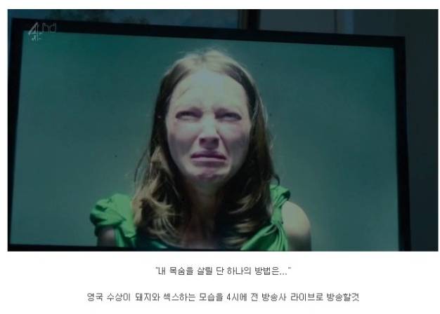당신이라면 돼지와 섹스를 하시겠습니까 | 인스티즈