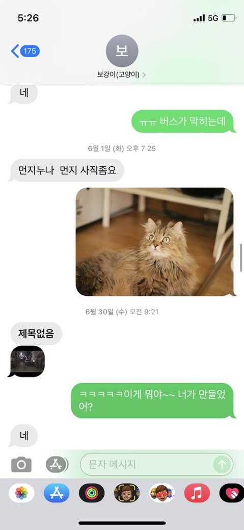 우리 집 고양이 보러 오는 동네 초딩 있거든 | 인스티즈