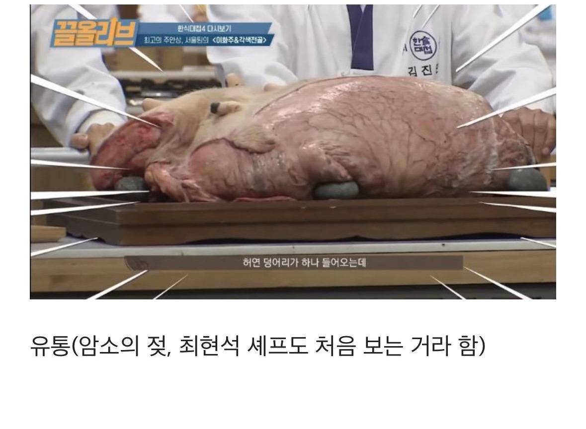 초고수들이 이 악물고 도전해서 보는 재미가 기가 막혔던 방송 | 인스티즈