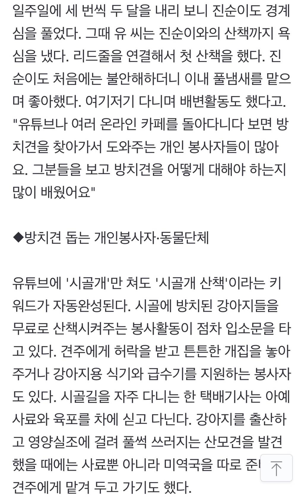 "내 개 내가 알아서 키우는데 왜?"…'목줄·쇠사슬' 묶인 시골개들 | 인스티즈