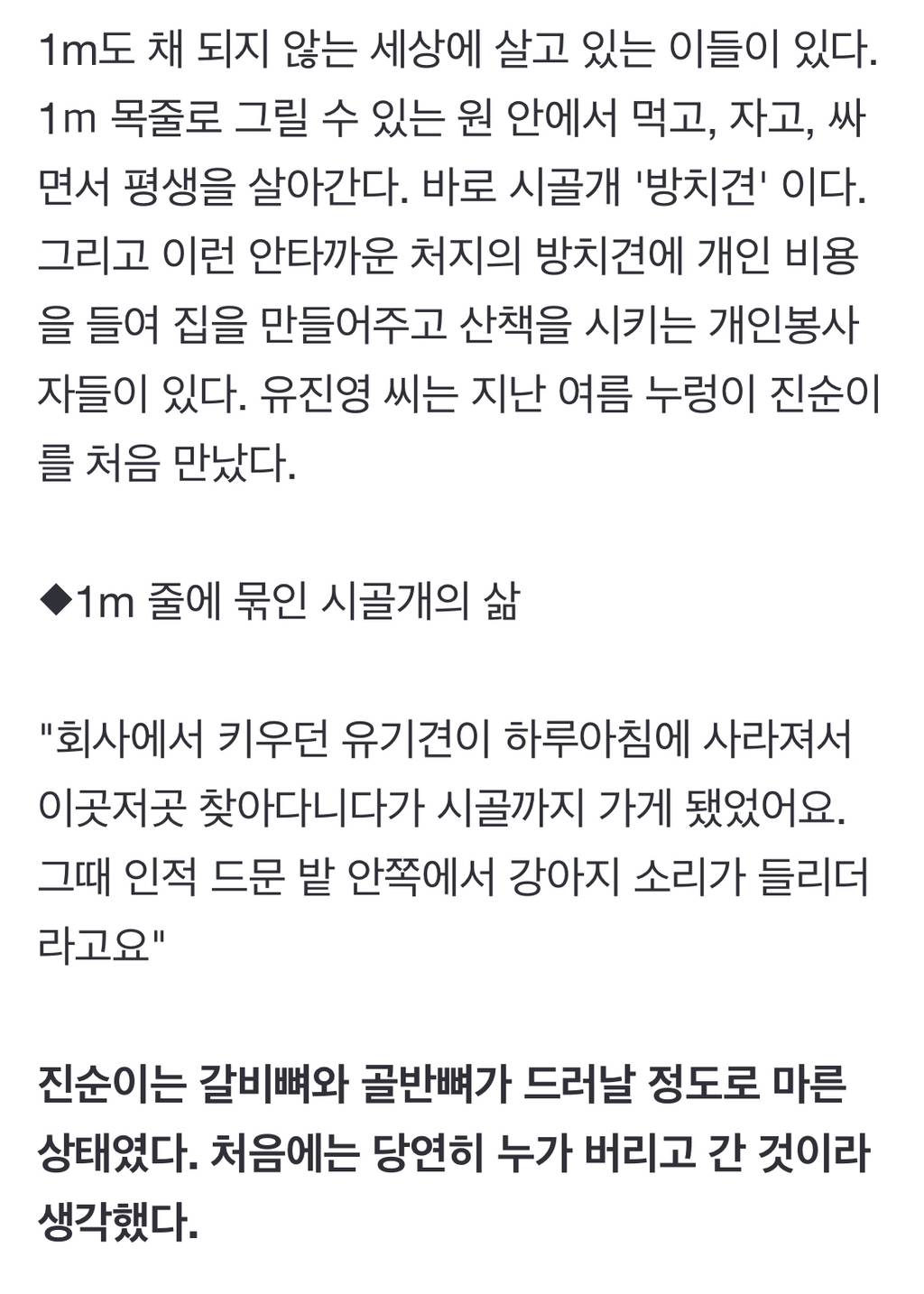 "내 개 내가 알아서 키우는데 왜?"…'목줄·쇠사슬' 묶인 시골개들 | 인스티즈