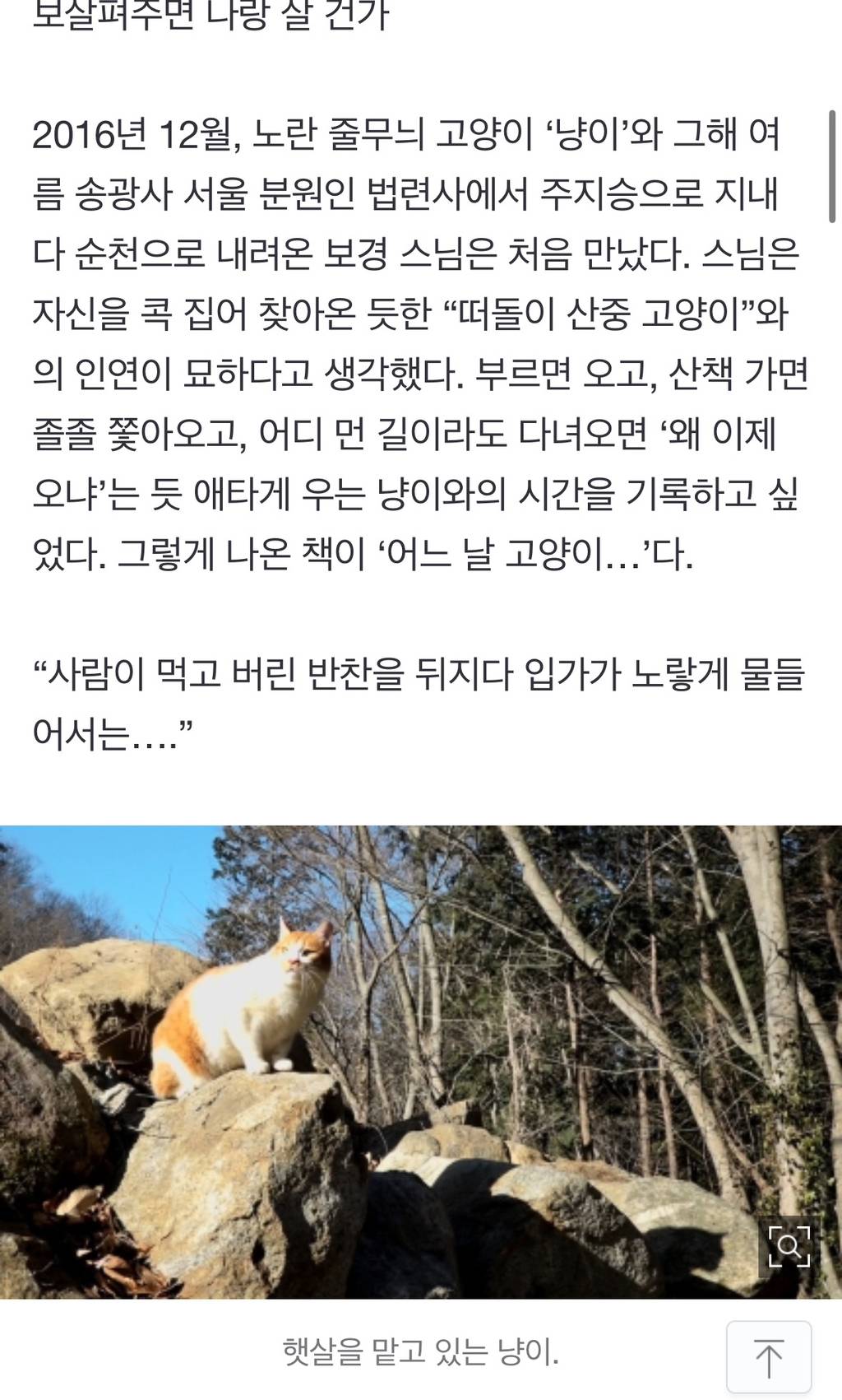 쥐를 선물로 준 냥이…스님은 "살생하지 말거라” | 인스티즈