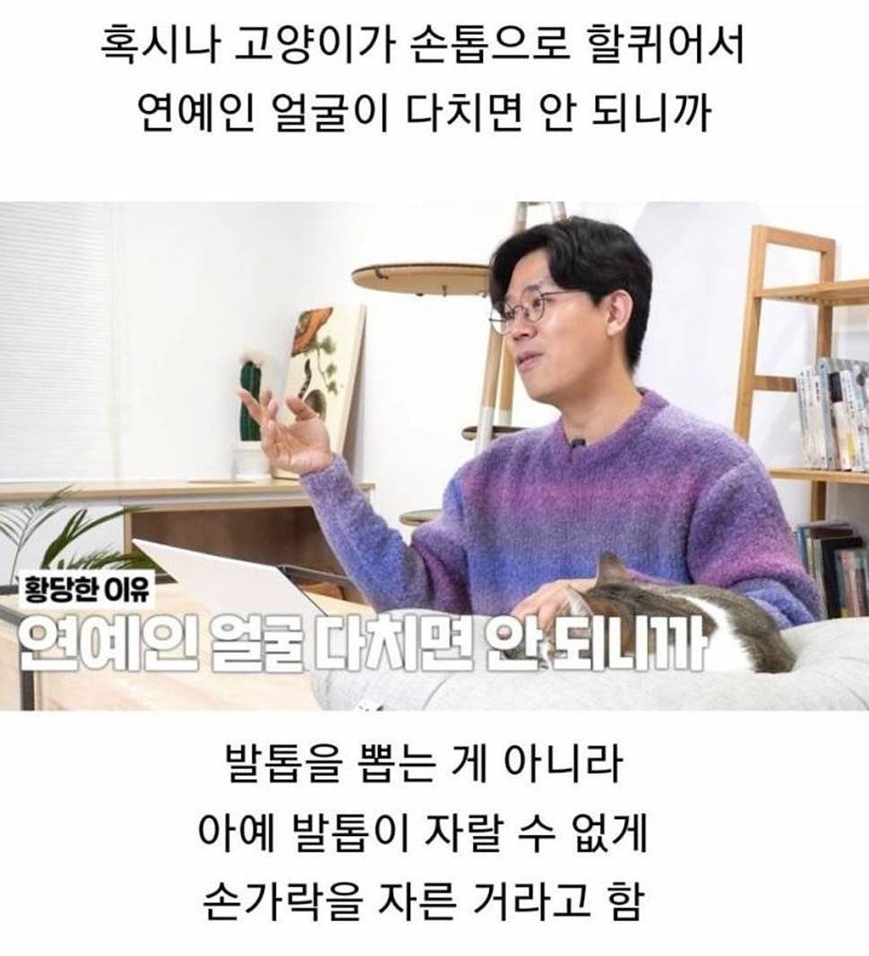 유명 연예인이 데려온 고양이를 보고 기겁한 수의사 | 인스티즈