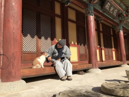 쥐를 선물로 준 냥이…스님은 "살생하지 말거라” | 인스티즈