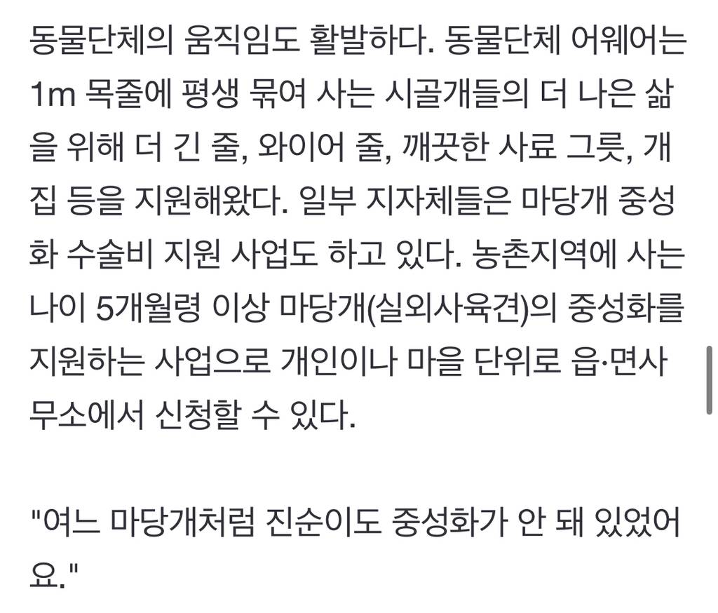 "내 개 내가 알아서 키우는데 왜?"…'목줄·쇠사슬' 묶인 시골개들 | 인스티즈