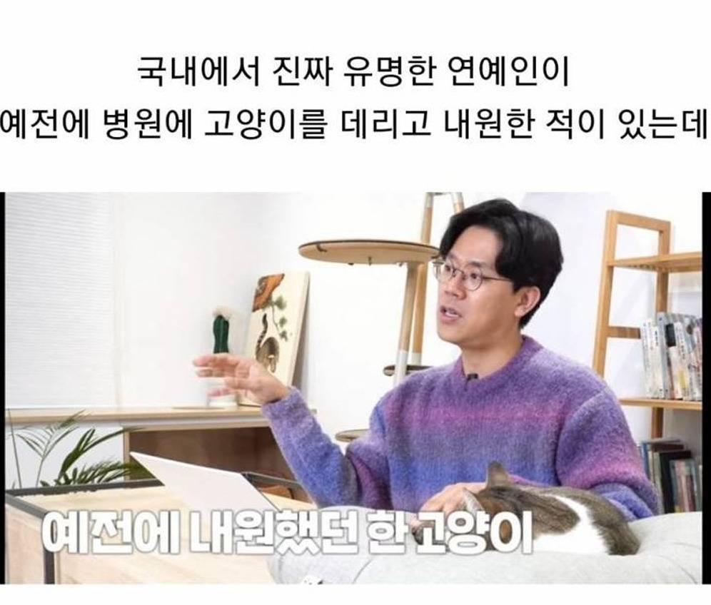 유명 연예인이 데려온 고양이를 보고 기겁한 수의사 | 인스티즈