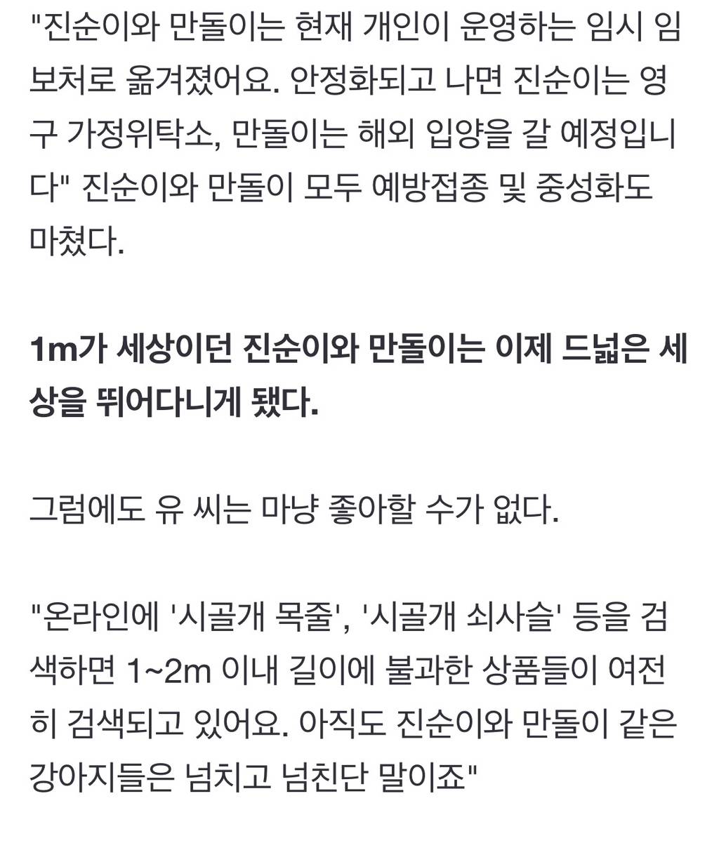 "내 개 내가 알아서 키우는데 왜?"…'목줄·쇠사슬' 묶인 시골개들 | 인스티즈