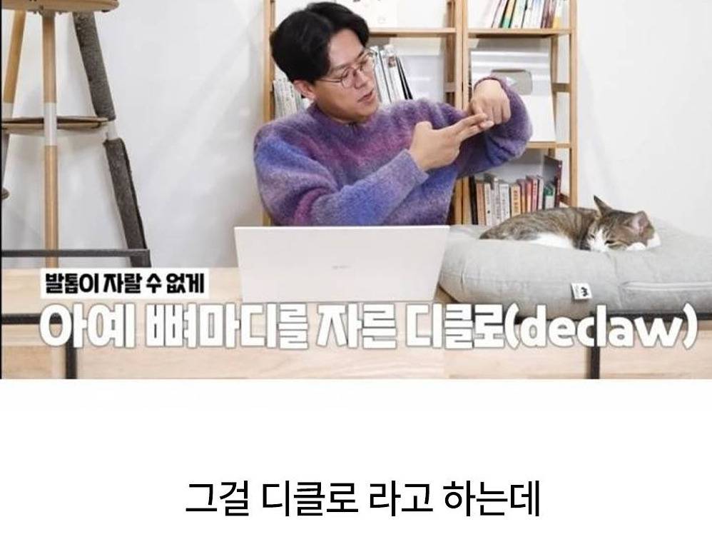 유명 연예인이 데려온 고양이를 보고 기겁한 수의사 | 인스티즈