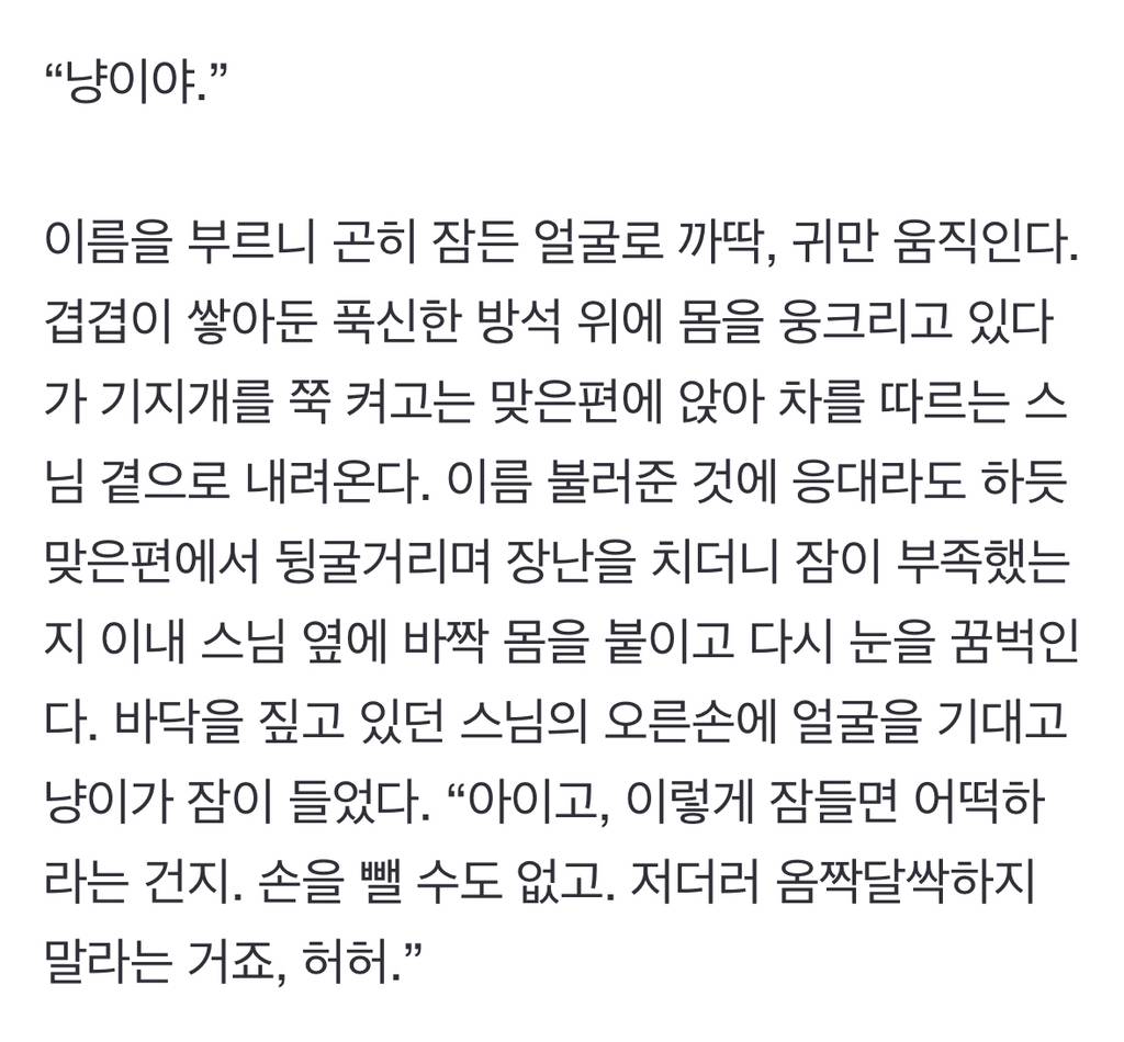 쥐를 선물로 준 냥이…스님은 "살생하지 말거라” | 인스티즈