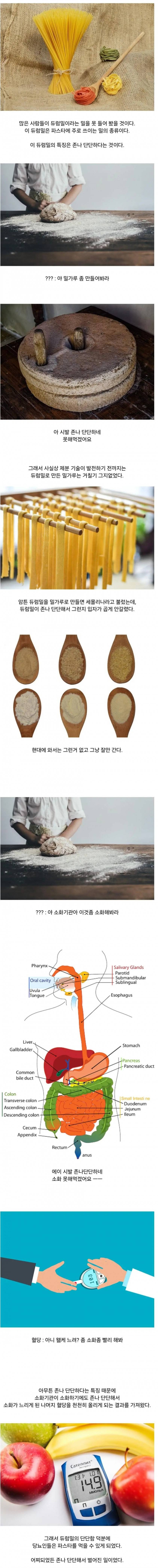 당뇨인들이 파스타는 먹을 수 있는 이유 | 인스티즈