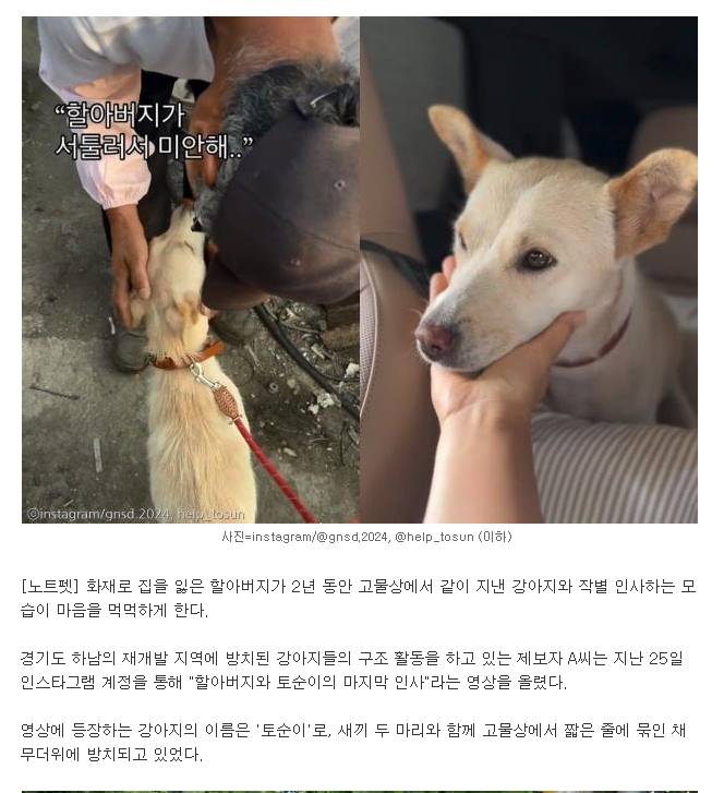 '방치견'의 소유권을 포기한 할아버지의 작별 인사 