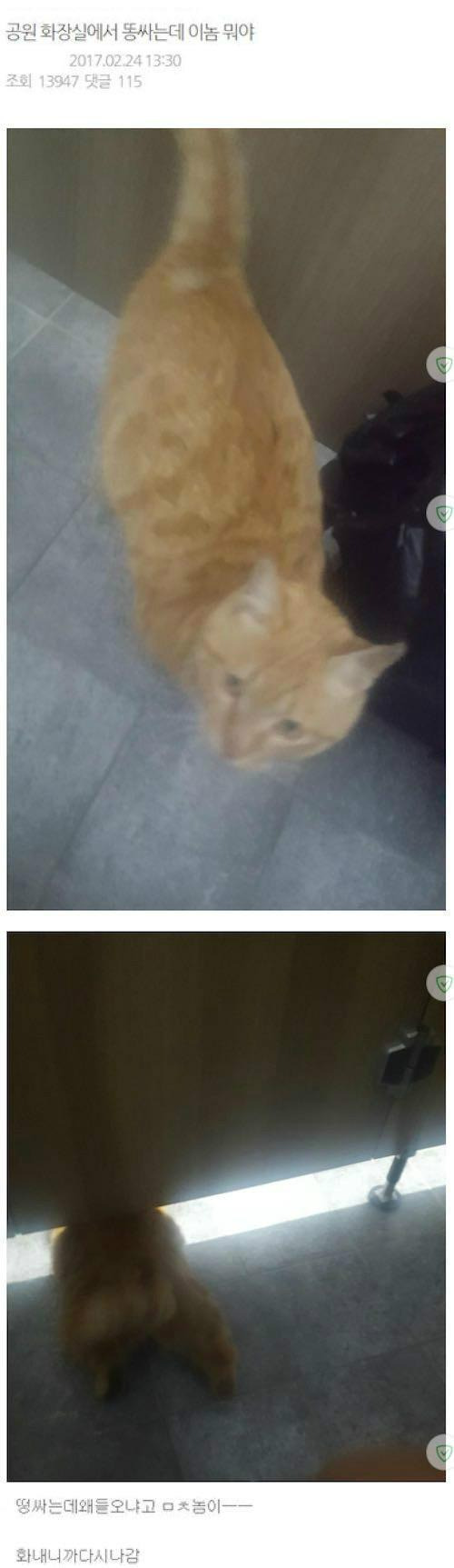 공원 화장실에서 똥싸는데