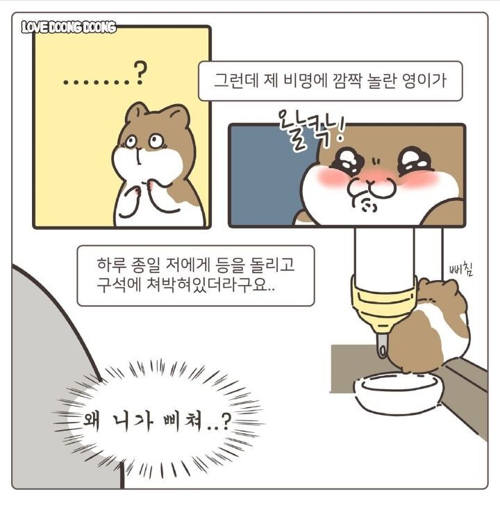 겁이 아주아주 많은 골든햄스터 | 인스티즈