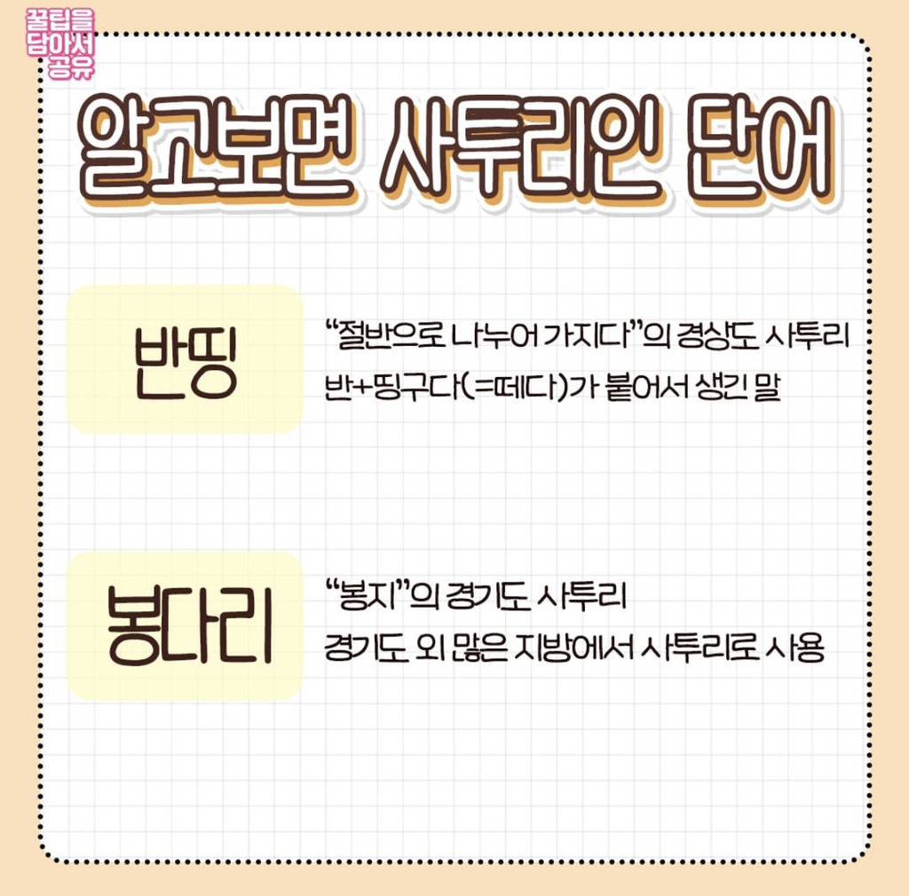 알고보면 사투리인 단어들 | 인스티즈