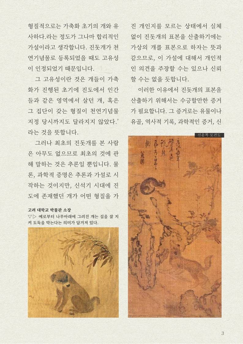 똥개가 다 된 '진돗개' | 인스티즈