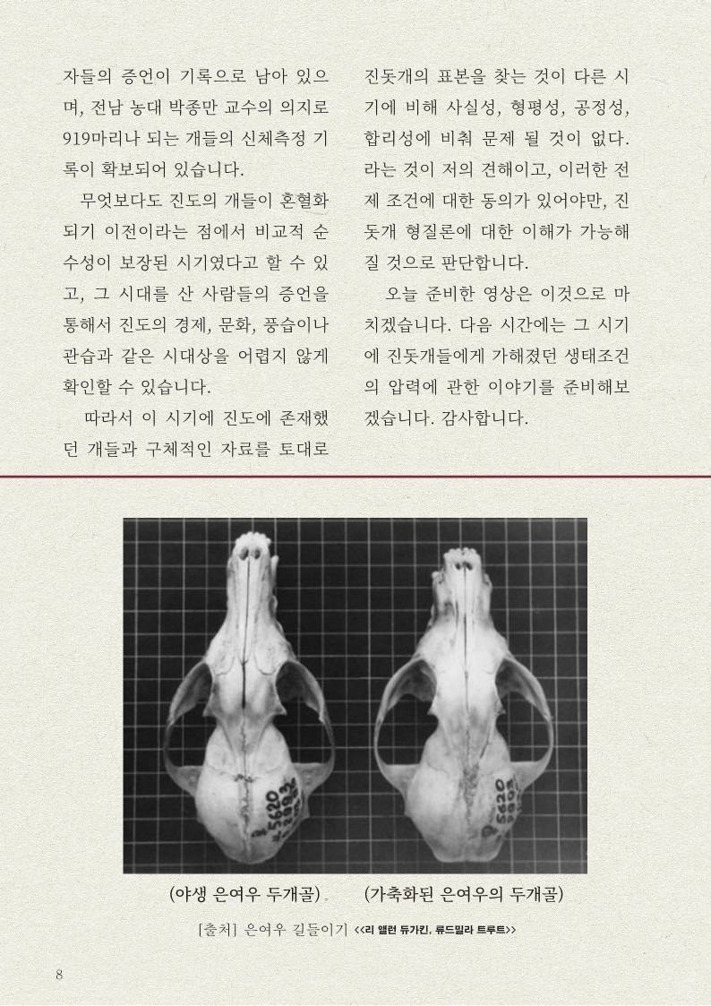 똥개가 다 된 '진돗개' | 인스티즈