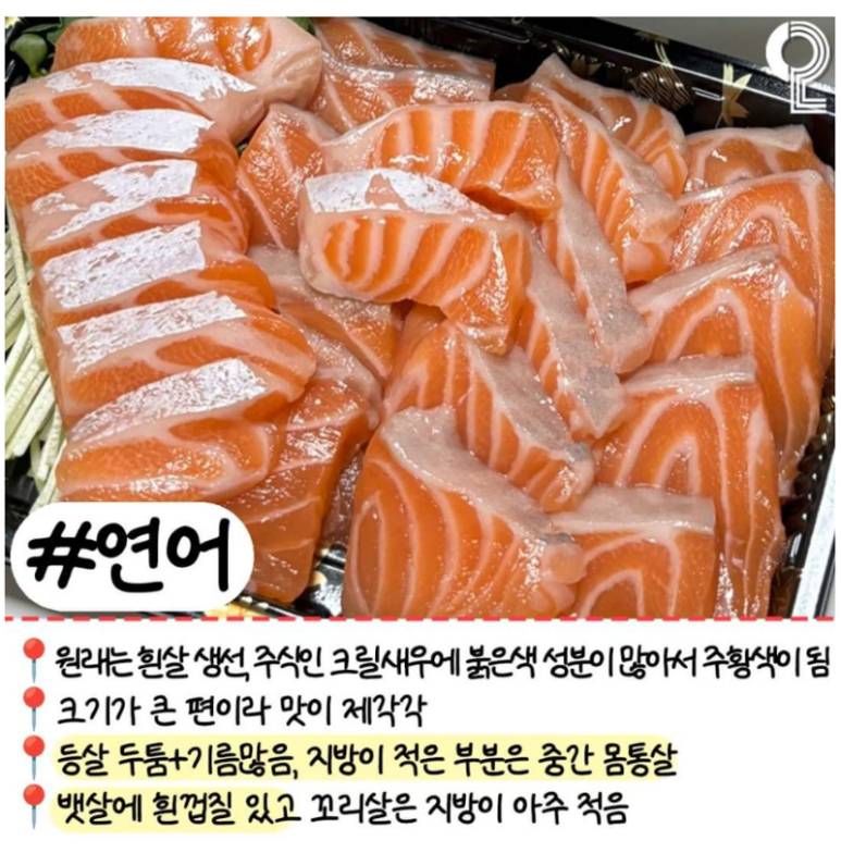 회 러버들이 꼭 알고 있어야 할 알고 먹으면 더 맛있는 모듬회 간단정리 | 인스티즈