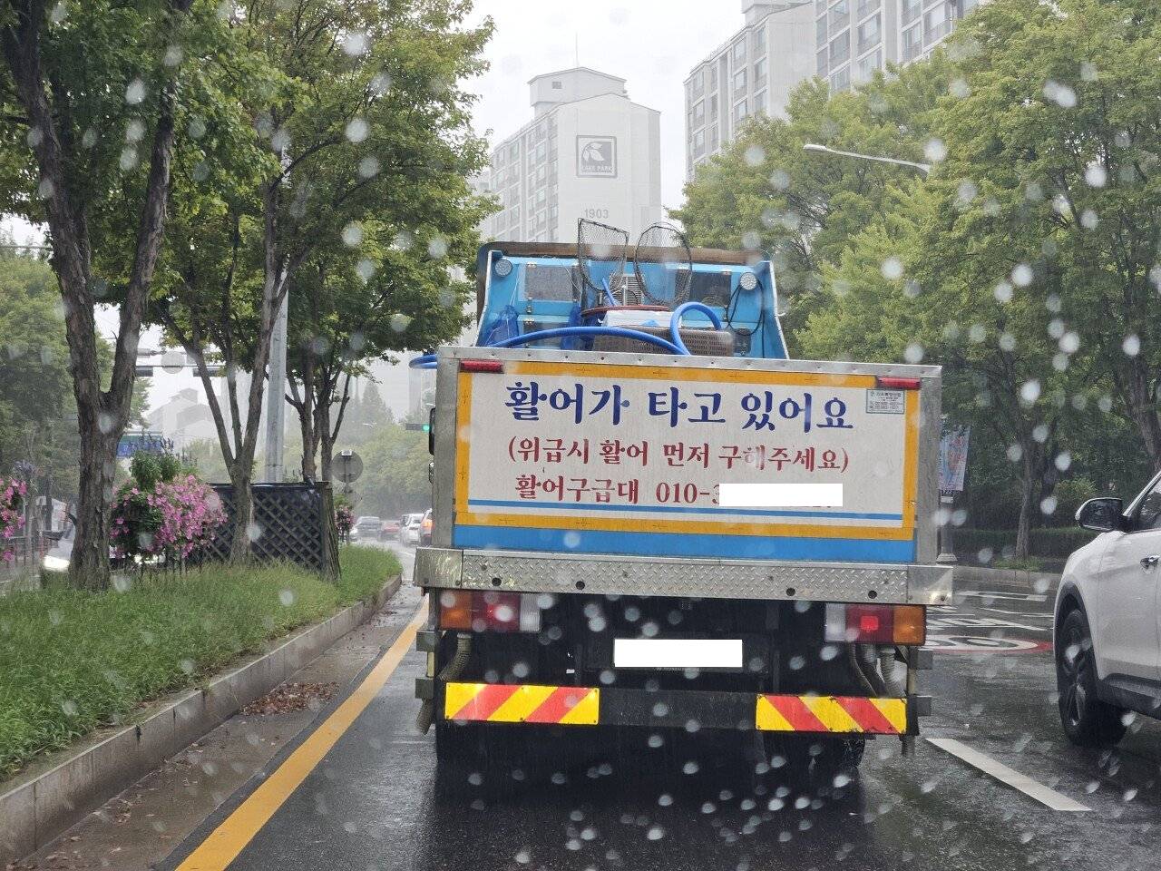 자동차 'ㅇㅇ가 타고 있어요' 신상.jpg | 인스티즈