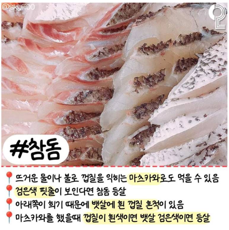 회 러버들이 꼭 알고 있어야 할 알고 먹으면 더 맛있는 모듬회 간단정리 | 인스티즈