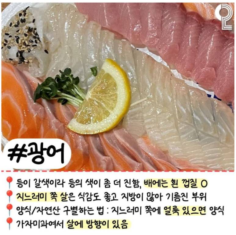 회 러버들이 꼭 알고 있어야 할 알고 먹으면 더 맛있는 모듬회 간단정리 | 인스티즈