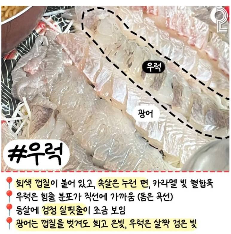 회 러버들이 꼭 알고 있어야 할 알고 먹으면 더 맛있는 모듬회 간단정리 | 인스티즈