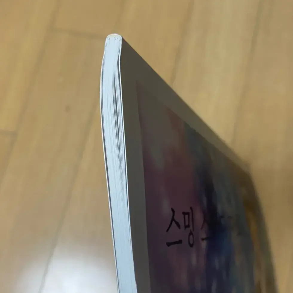 가수 팬들의 연령층이 높을때 팬카페에서 배포하는 책.jpg | 인스티즈