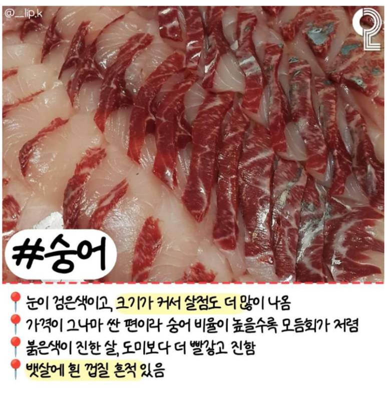 회 러버들이 꼭 알고 있어야 할 알고 먹으면 더 맛있는 모듬회 간단정리 | 인스티즈