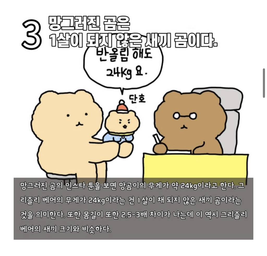 수의사가 분석하는 망그러진 곰 | 인스티즈