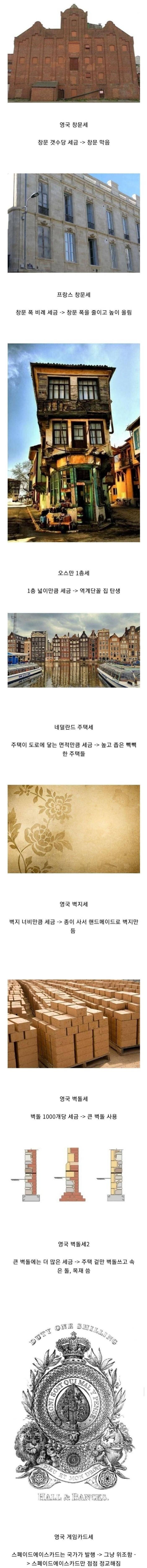 옛날 유럽사람들이 세금을 피한 방법 | 인스티즈