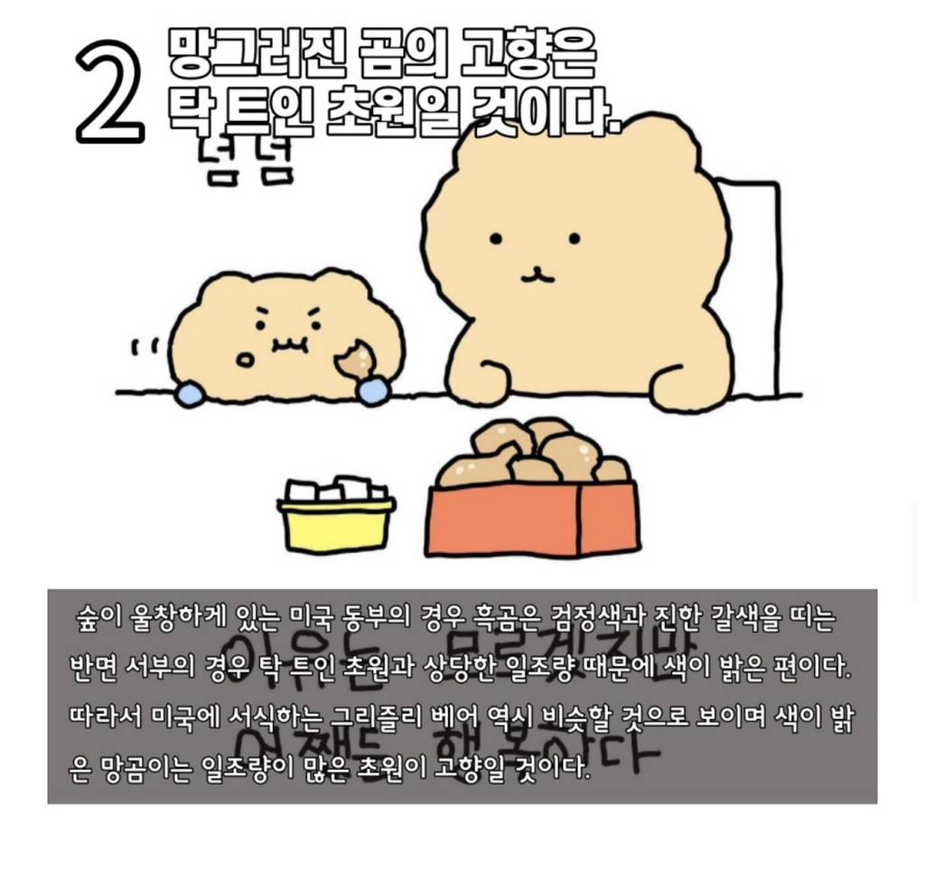 수의사가 분석하는 망그러진 곰 | 인스티즈