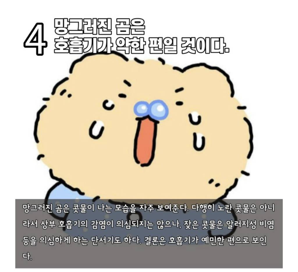 수의사가 분석하는 망그러진 곰 | 인스티즈