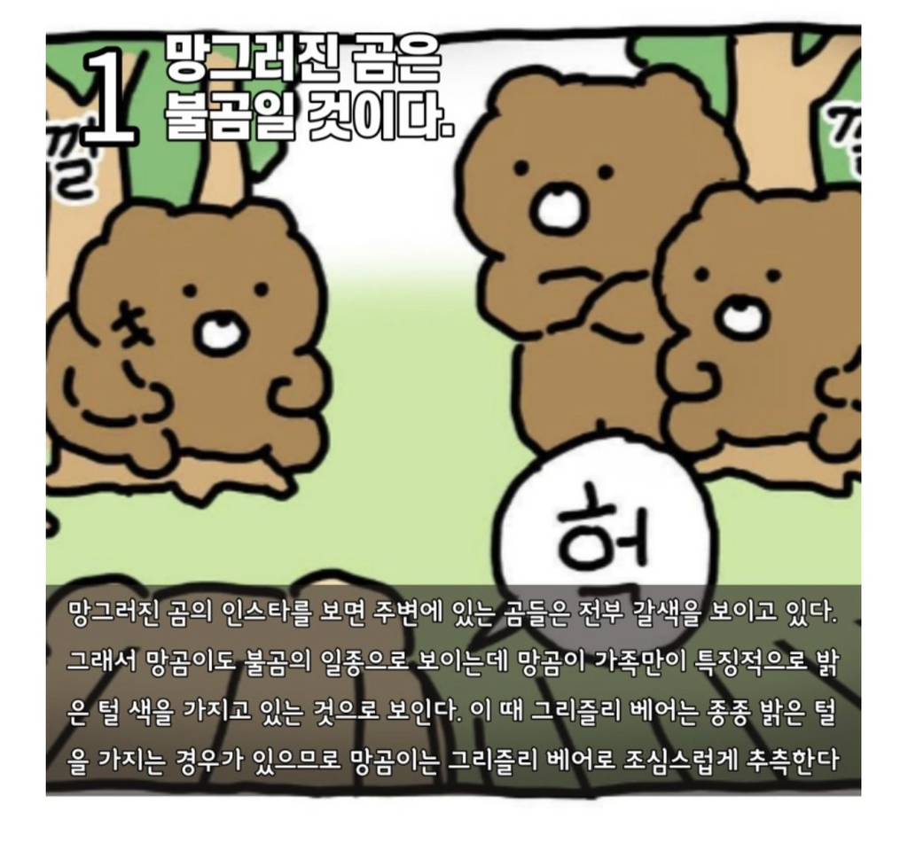 수의사가 분석하는 망그러진 곰 | 인스티즈