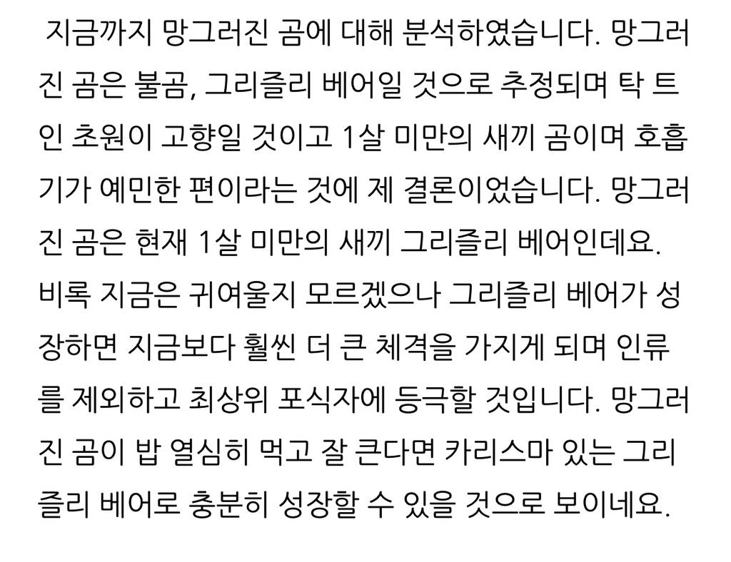 수의사가 분석하는 망그러진 곰 | 인스티즈