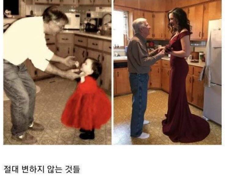 가슴이 따뜻해지는 사진들 모음 | 인스티즈