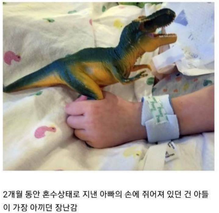 가슴이 따뜻해지는 사진들 모음 | 인스티즈