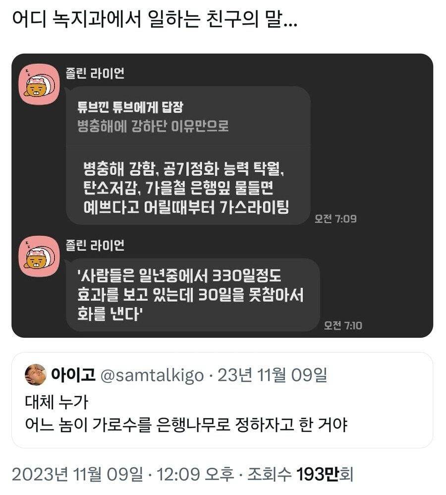 ??? : 한국 가로수는 왜 죄다 은행나무인거야 | 인스티즈