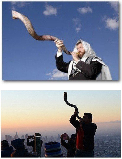 동물 뿔을 함부로 만지면 안 되는 이유 | 인스티즈