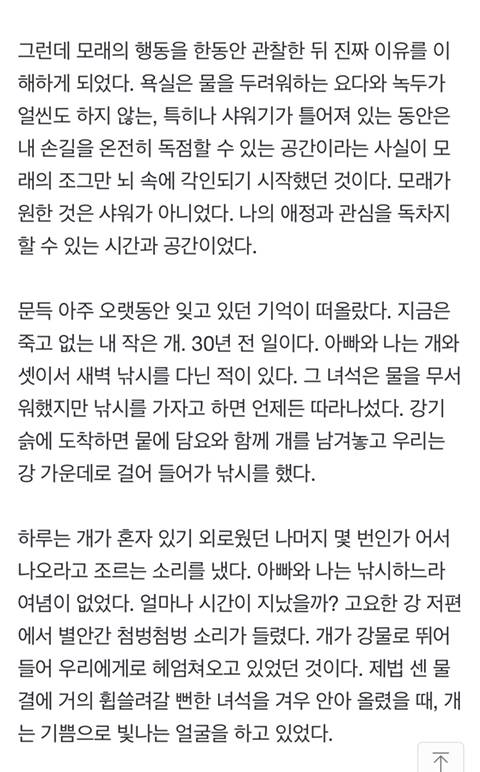 모래야, 물이 무서우면서 왜 욕실에 따라 들어오니? | 인스티즈