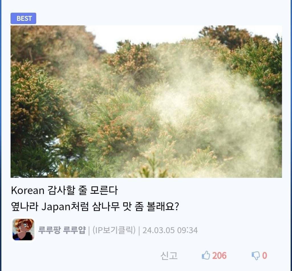 ??? : 한국 가로수는 왜 죄다 은행나무인거야 | 인스티즈