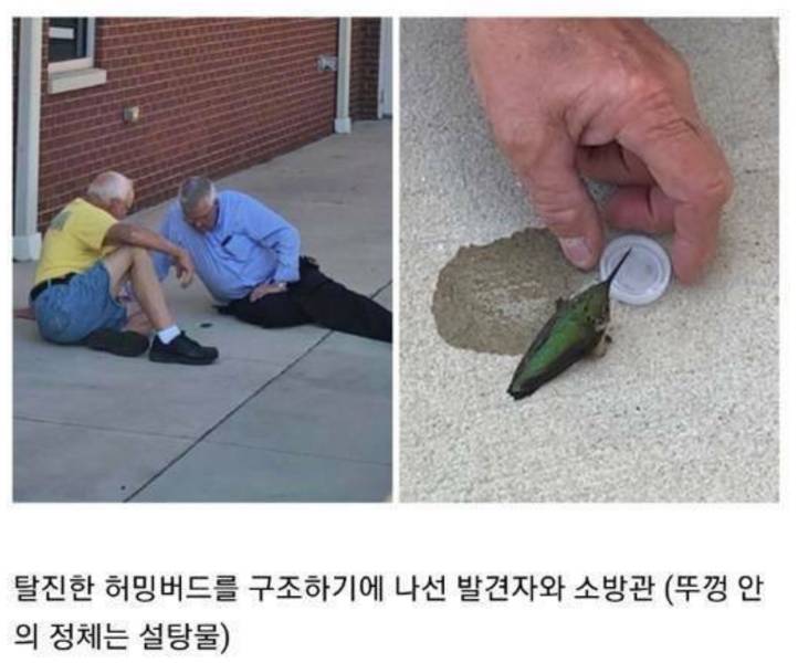 가슴이 따뜻해지는 사진들 모음 | 인스티즈