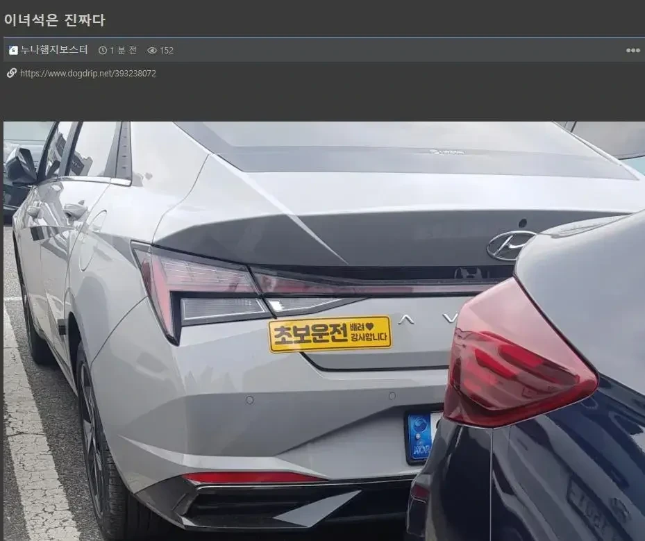 안믿을수가 없는 초보운전 딱지 | 인스티즈