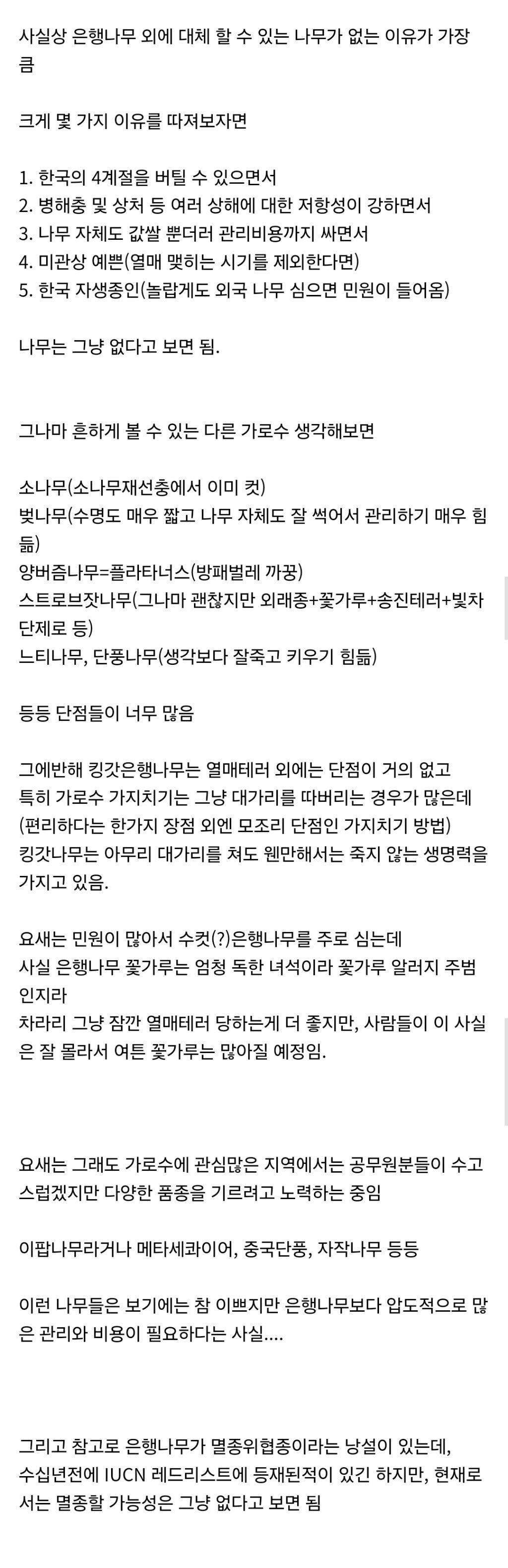 ??? : 한국 가로수는 왜 죄다 은행나무인거야 | 인스티즈